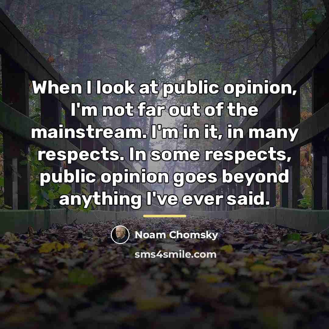 “When I look at public opinion, I'm not far out…” quote by Noam Chomsky