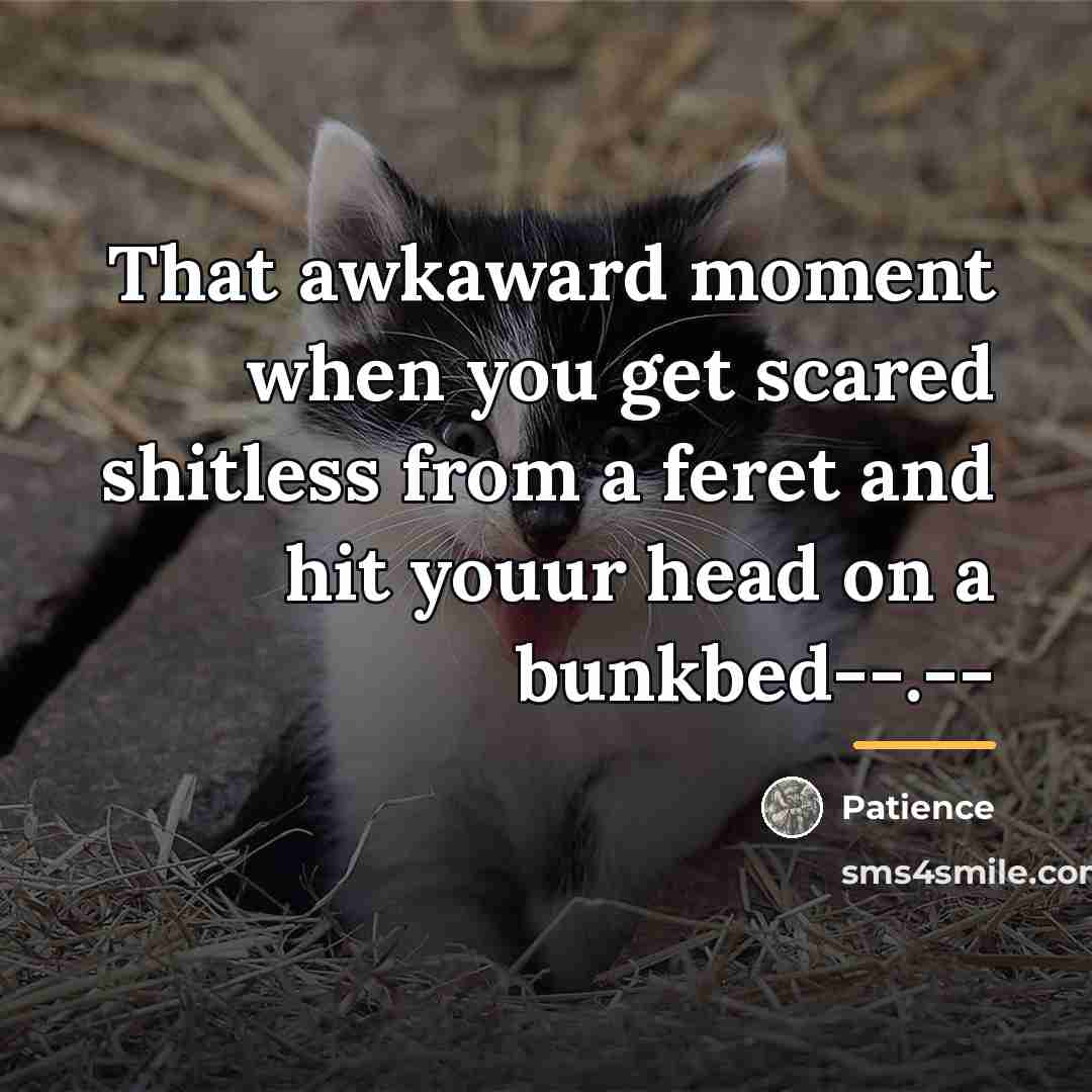 “That awkaward moment when you get scared shitless from a…” quote by Patience