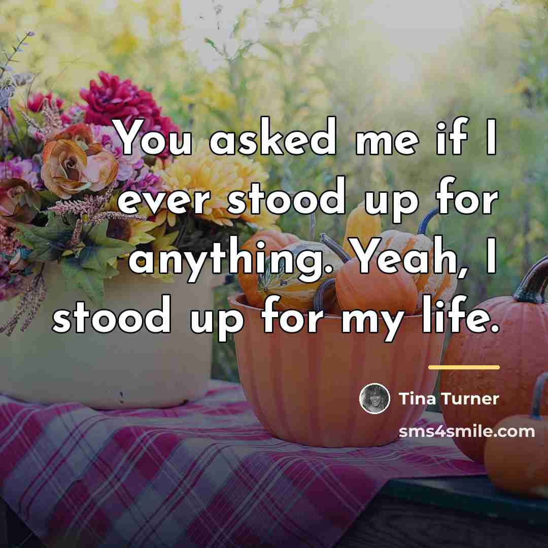 “You asked me if I ever stood up for anything.…” quote by Tina Turner