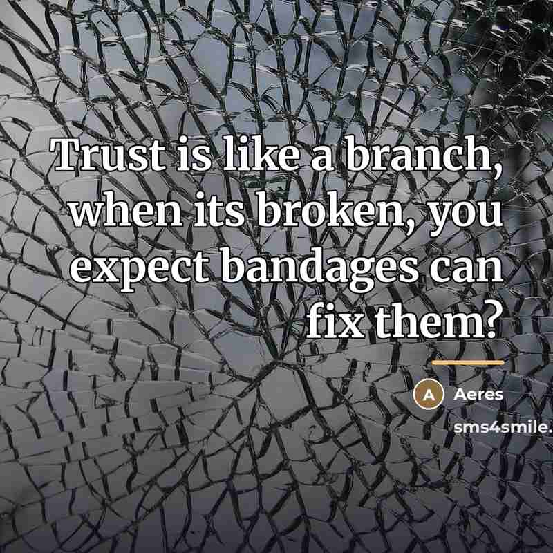 “Trust is like a branch, when its broken, you expect…” quote by Aeres