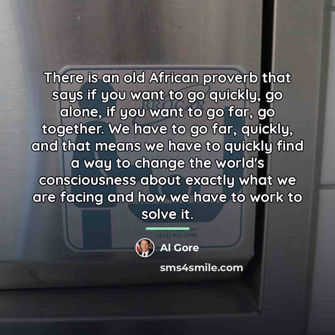 “There is an old African proverb that says if you…” quote by Al Gore