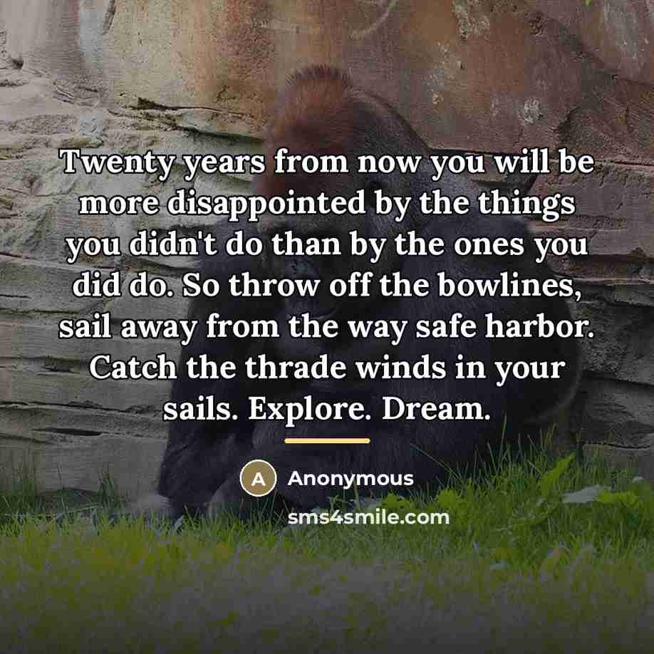 “Twenty years from now you will be more disappointed by…” quote by Anonymous