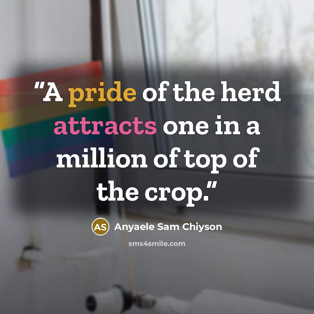 “A pride of the herd attracts one in a million of top of the crop.” quote by Anyaele Sam Chiyson