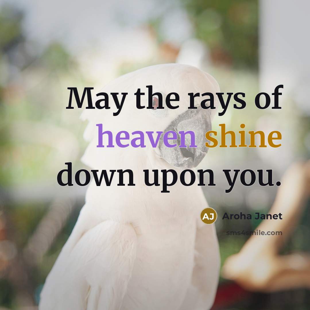 “May the rays of heaven shine down upon you.…” quote by Aroha Janet