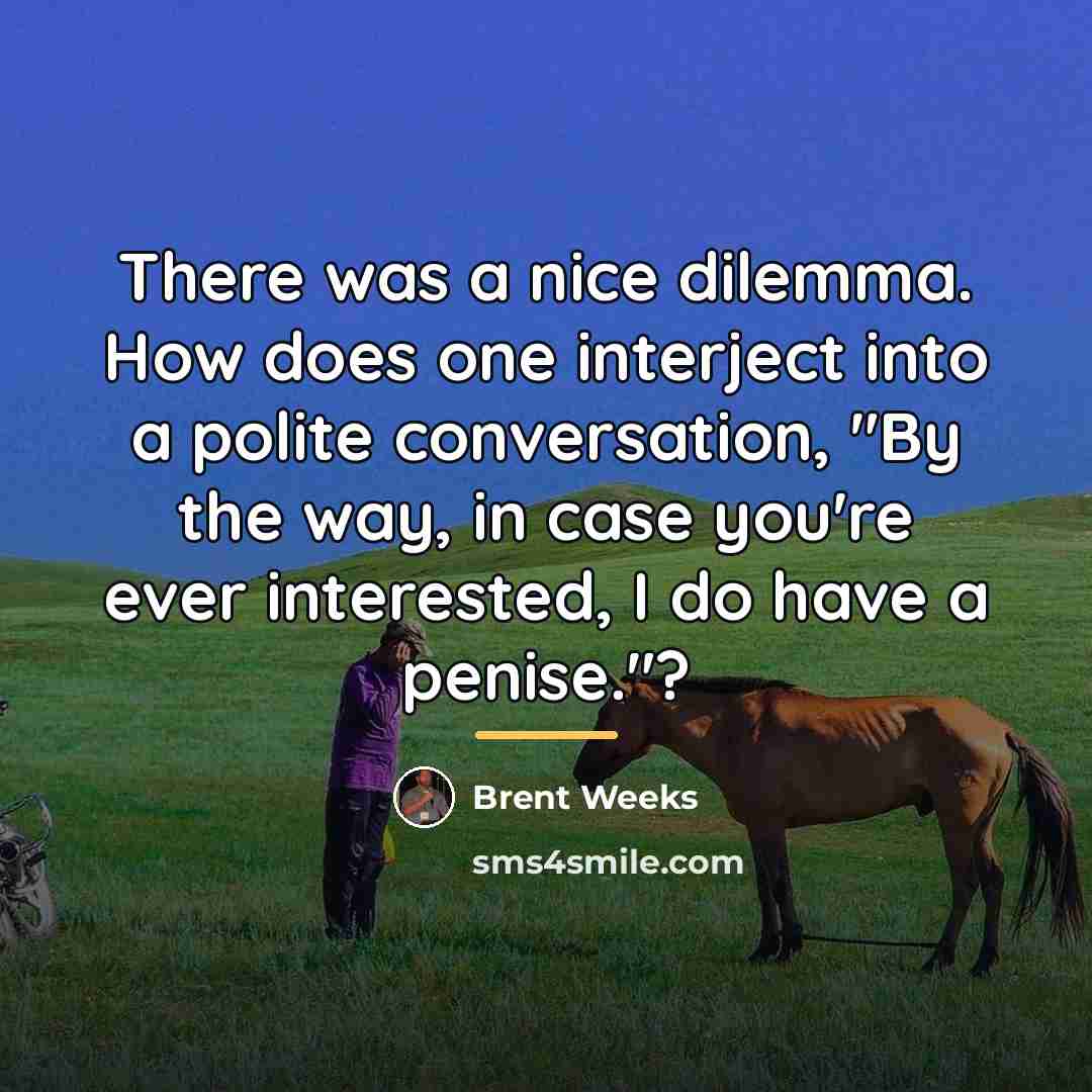 “There was a nice dilemma. How does one interject into…” quote by Brent Weeks