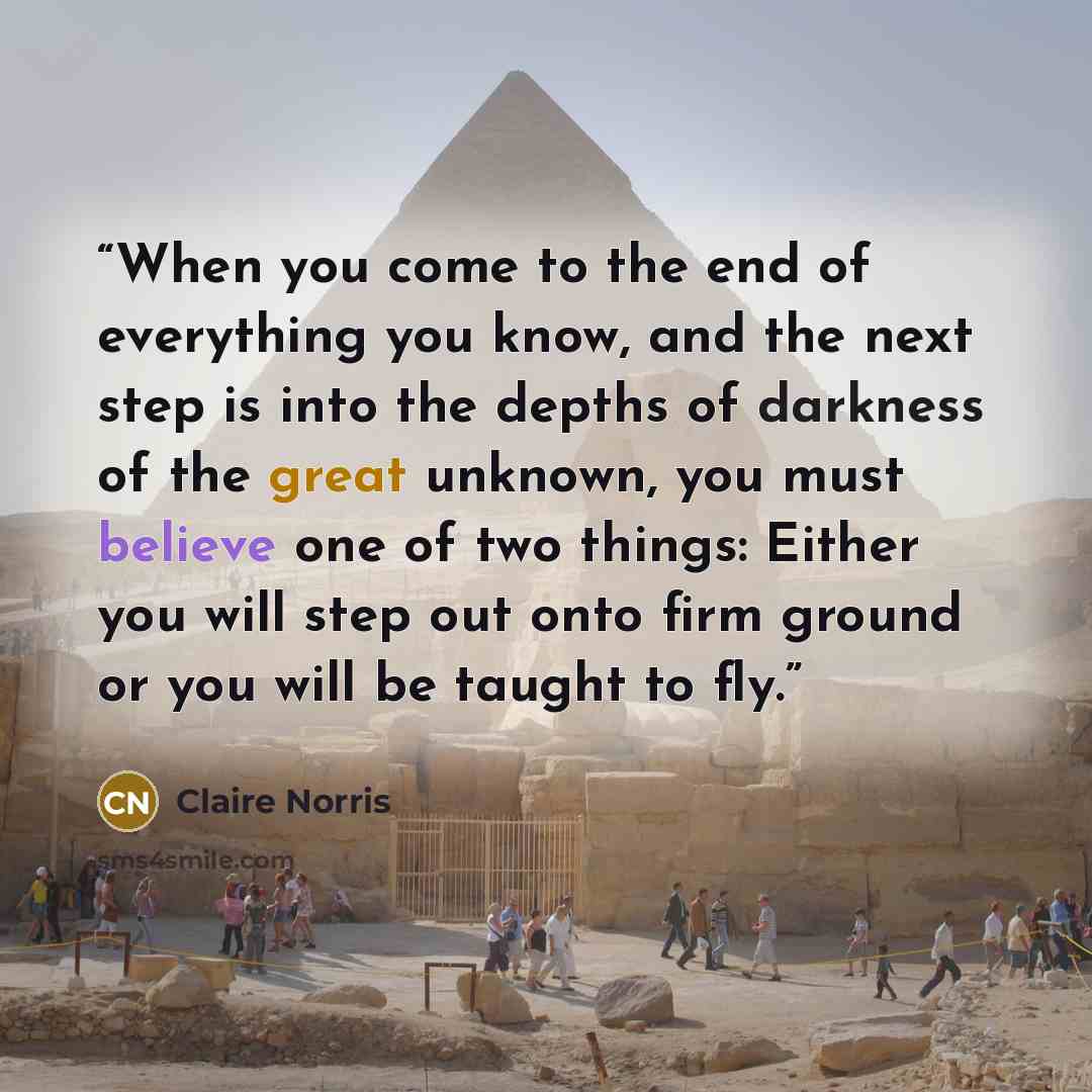 “When you come to the end of everything you know, and the next step is into the depths of darkness of the great unknown, you must believe one of two things: Either you will step out onto firm ground or you will be taught to fly.” quote by Claire Norris