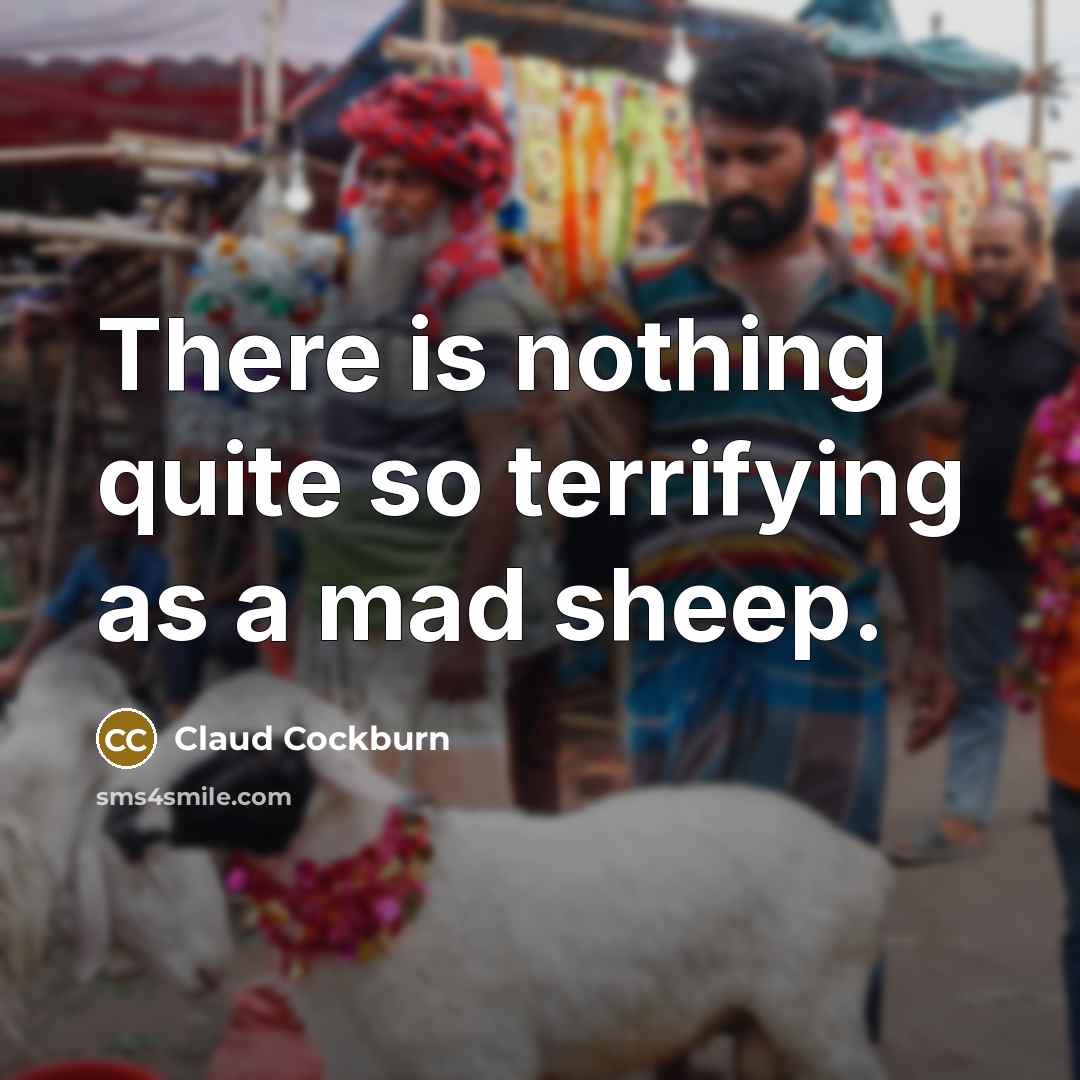 “There is nothing quite so terrifying as a mad sheep.…” quote by Claud Cockburn
