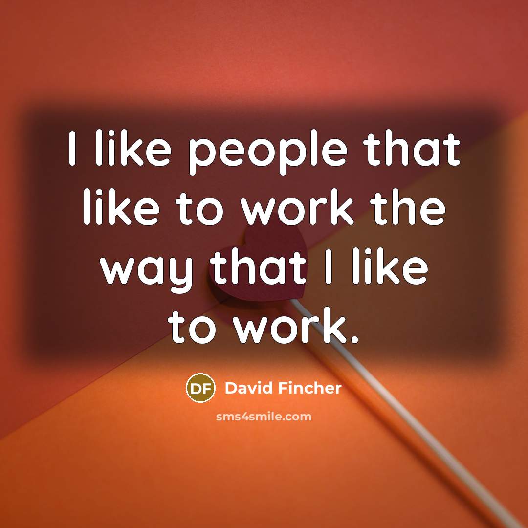 “I like people that like to work the way that…” quote by David Fincher