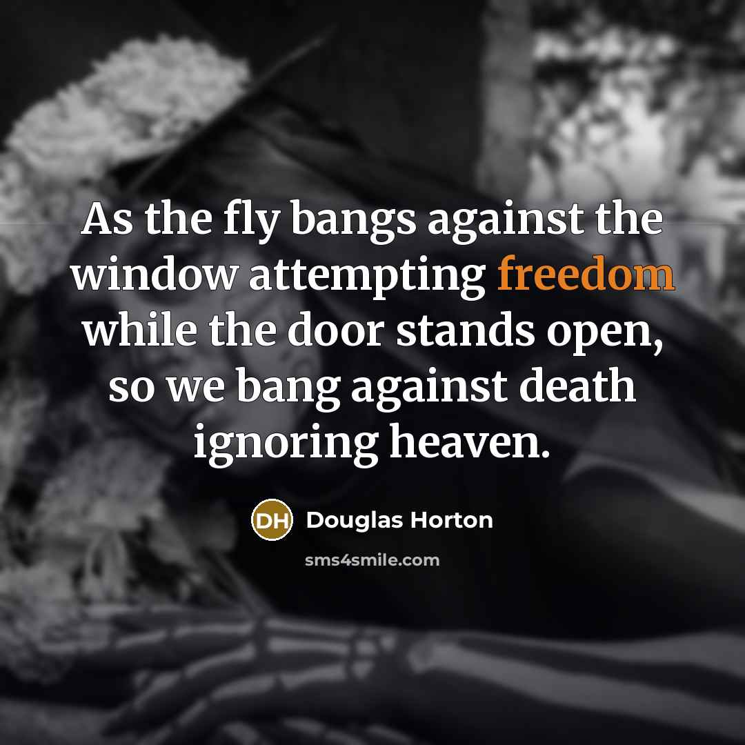 “As the fly bangs against the window attempting freedom while…” quote by Douglas Horton