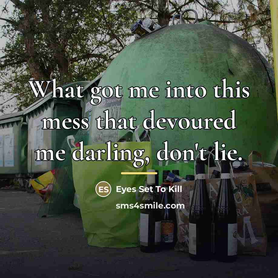 “What got me into this mess that devoured me darling,…” quote by Eyes Set To Kill