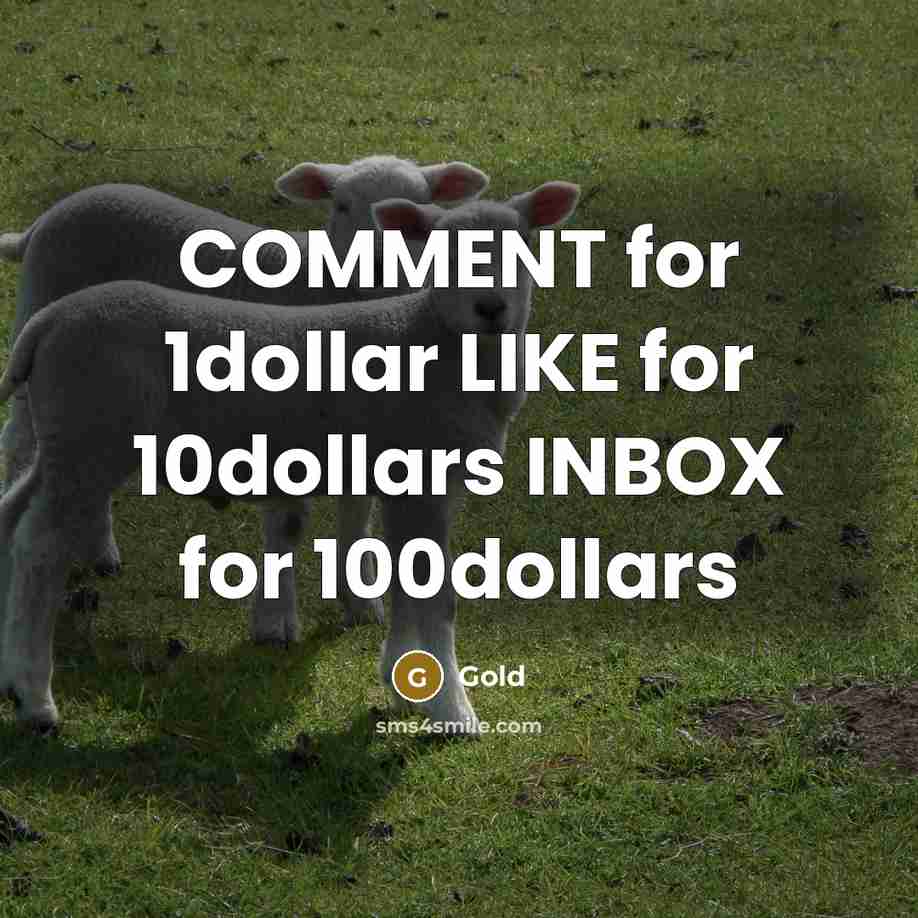 “COMMENT for 1dollar LIKE for 10dollars INBOX for 100dollars” quote by Gold