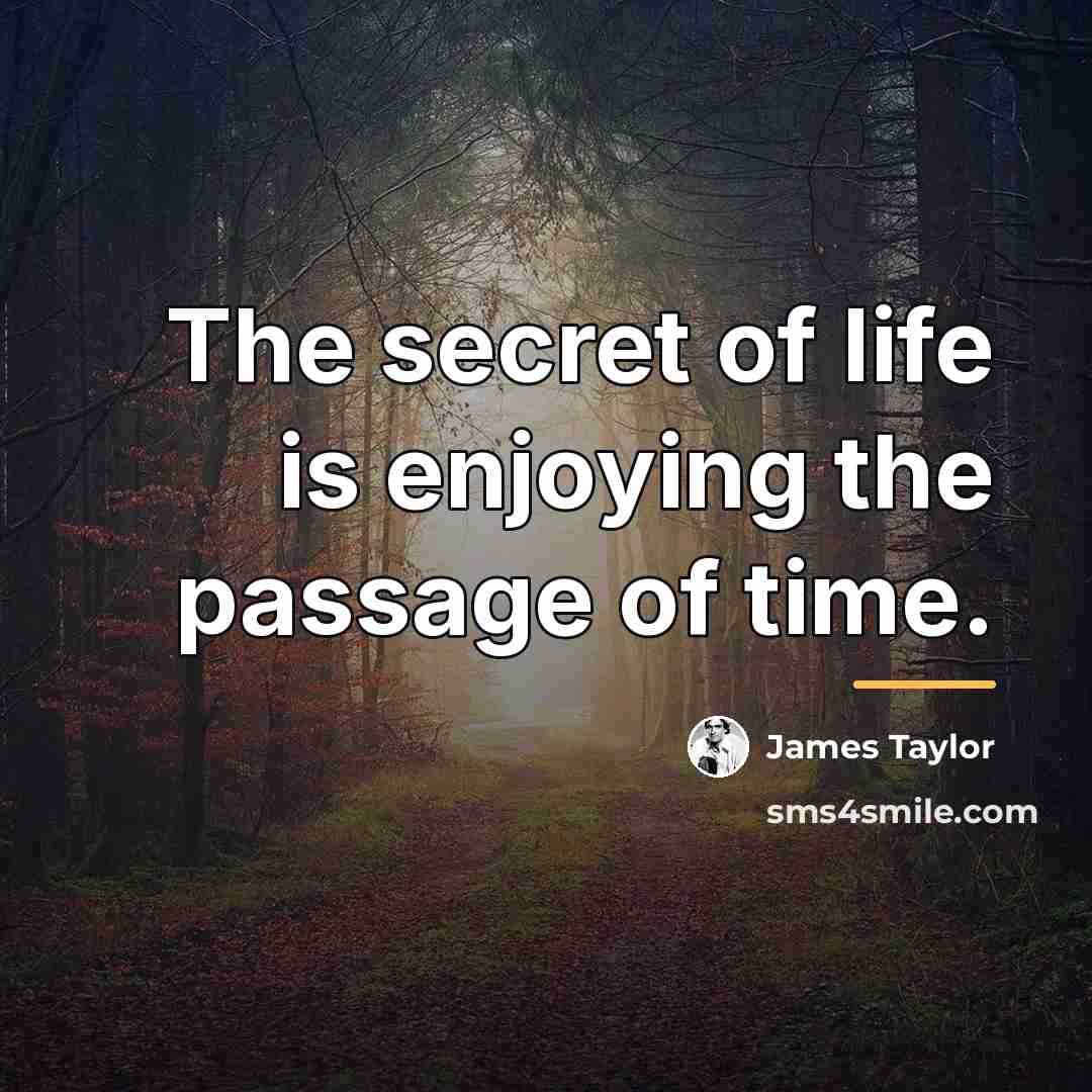 “The secret of life is enjoying the passage of time.…” quote by James Taylor