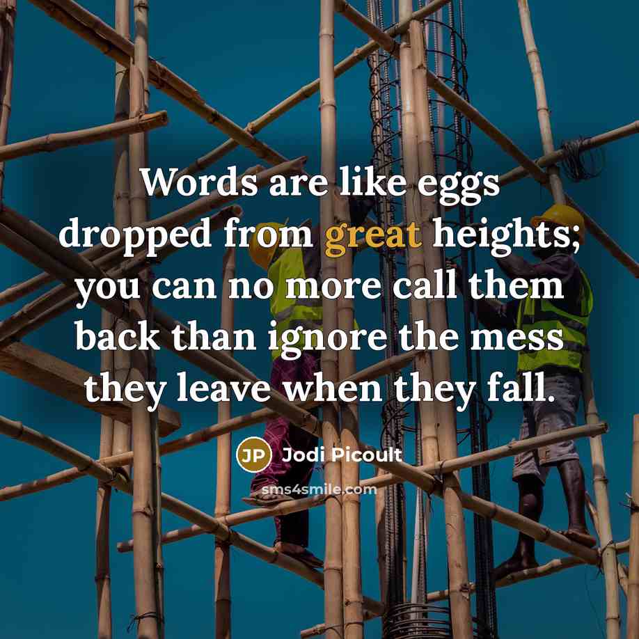 “Words are like eggs dropped from great heights; you can no more call them back than ignore the mess they leave when they fall.” quote by Jodi Picoult