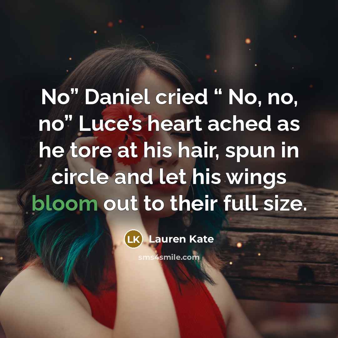 “No” Daniel cried “ No, no, no” Luce’s heart ached…” quote by Lauren Kate