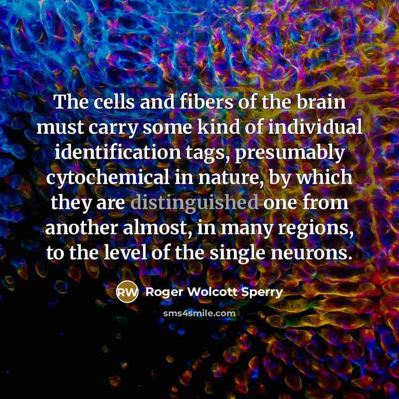 “The cells and fibers of the brain must carry some…” quote by Roger Wolcott Sperry
