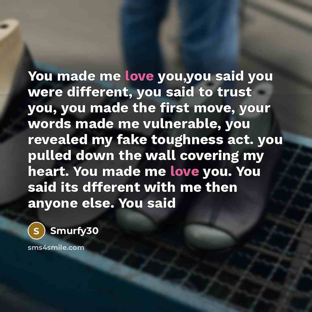 “You made me love you,you said you were different, you said to trust you, you made the first move, your words made me vulnerable, you revealed my fake toughness act. you pulled down the wall covering my heart. You made me love you. You said its dfferent with me then anyone else. You said” quote by Smurfy30