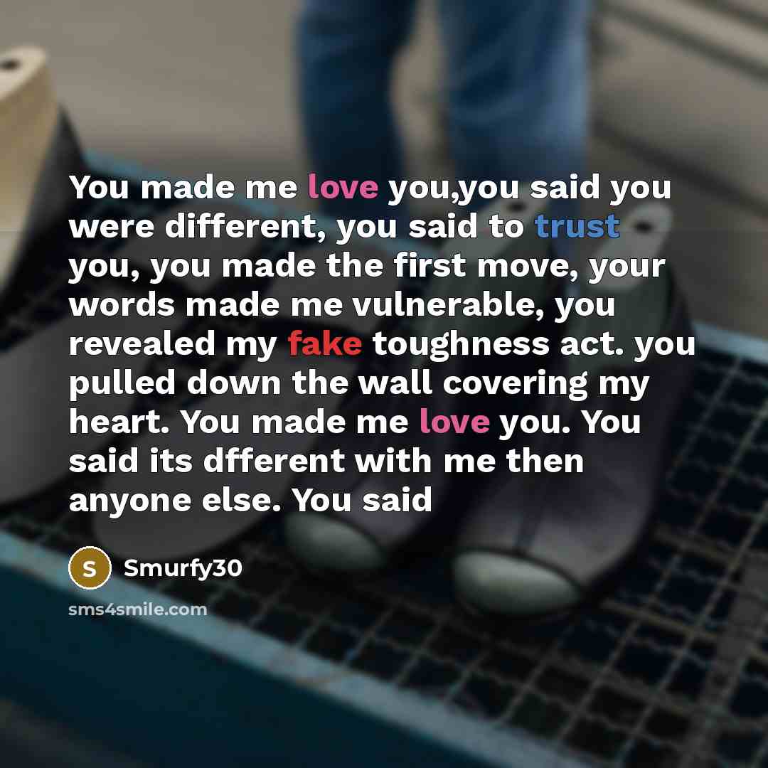 “You made me love you,you said you were different, you said to trust you, you made the first move, your words made me vulnerable, you revealed my fake toughness act. you pulled down the wall covering my heart. You made me love you. You said its dfferent with me then anyone else. You said” quote by Smurfy30