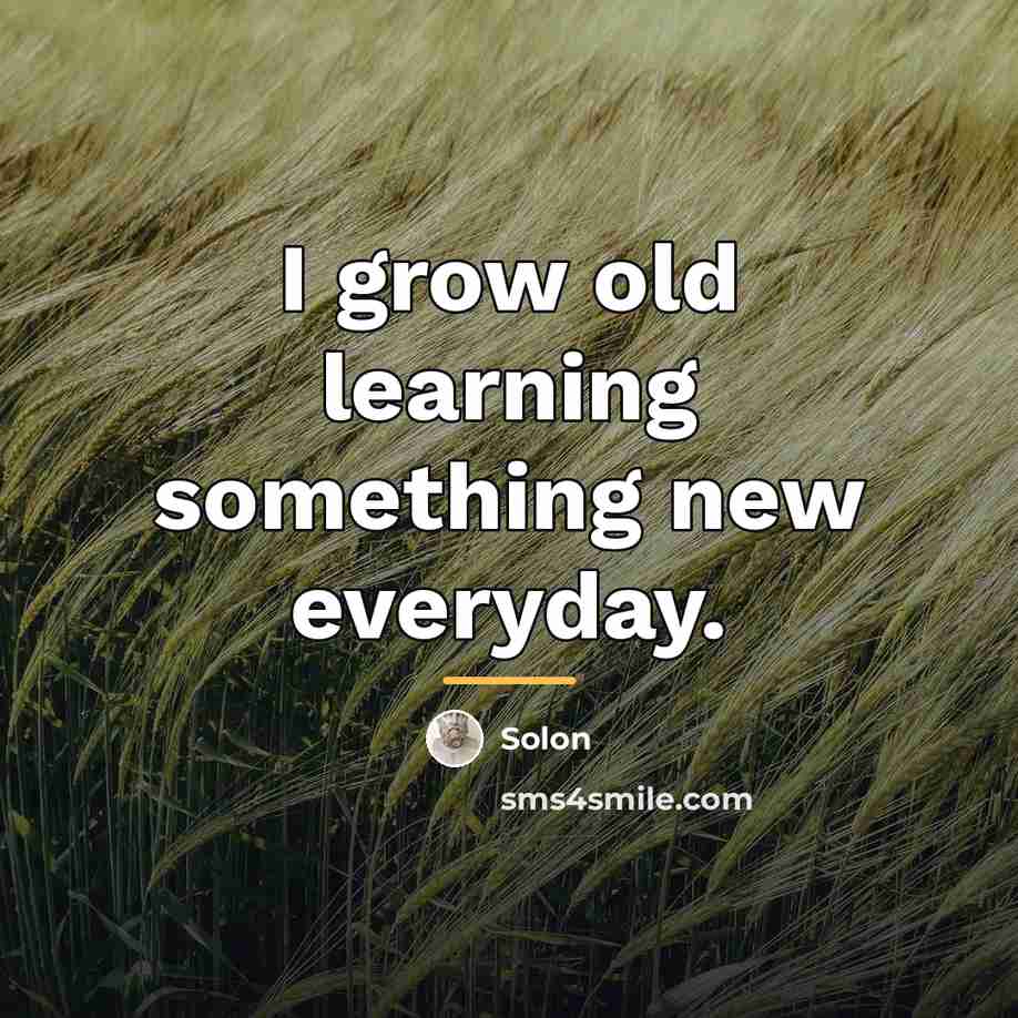 “I grow old learning something new everyday.…” quote by Solon