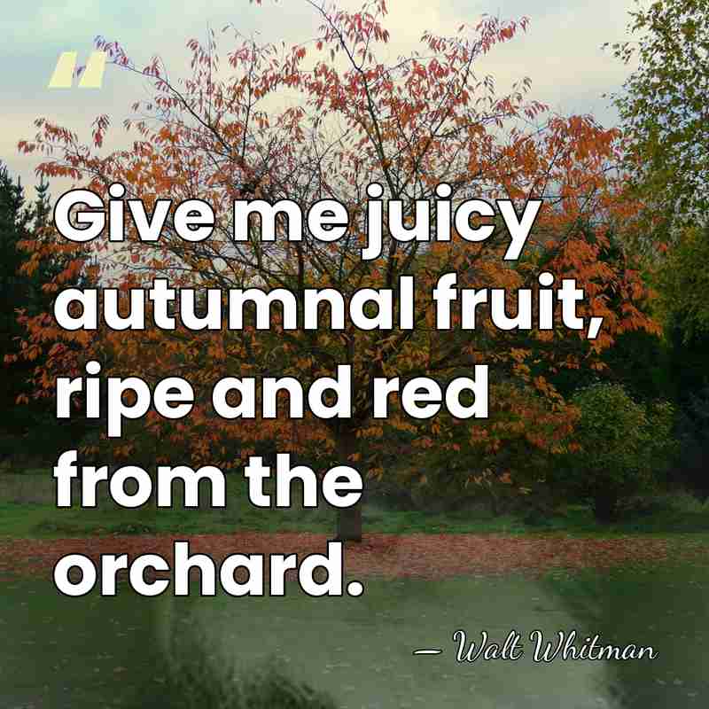 Give me juicy autumnal fruit, ripe and red from the orchard. - Walt Whitman