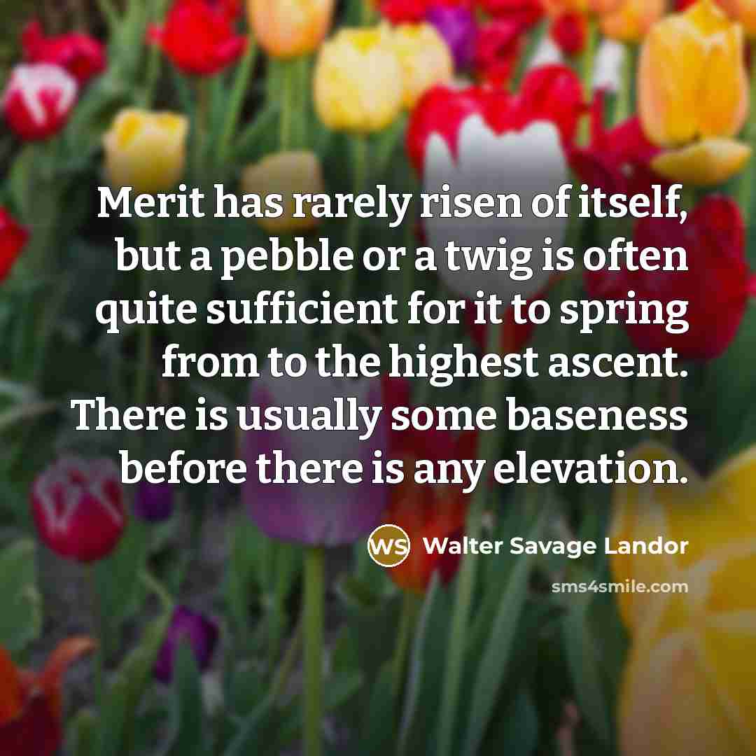 “Merit has rarely risen of itself, but a pebble or…” quote by Walter Savage Landor
