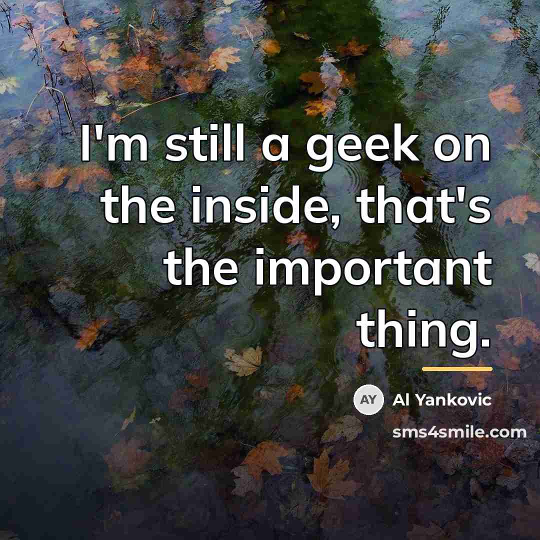 “I'm still a geek on the inside, that's the important…” quote by Al Yankovic