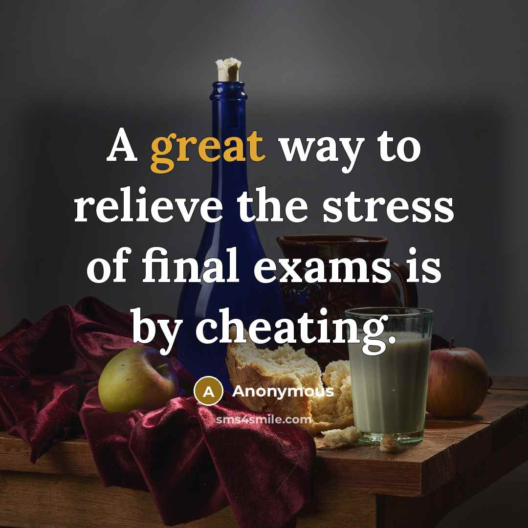 “A great way to relieve the stress of final exams…” quote by Anonymous