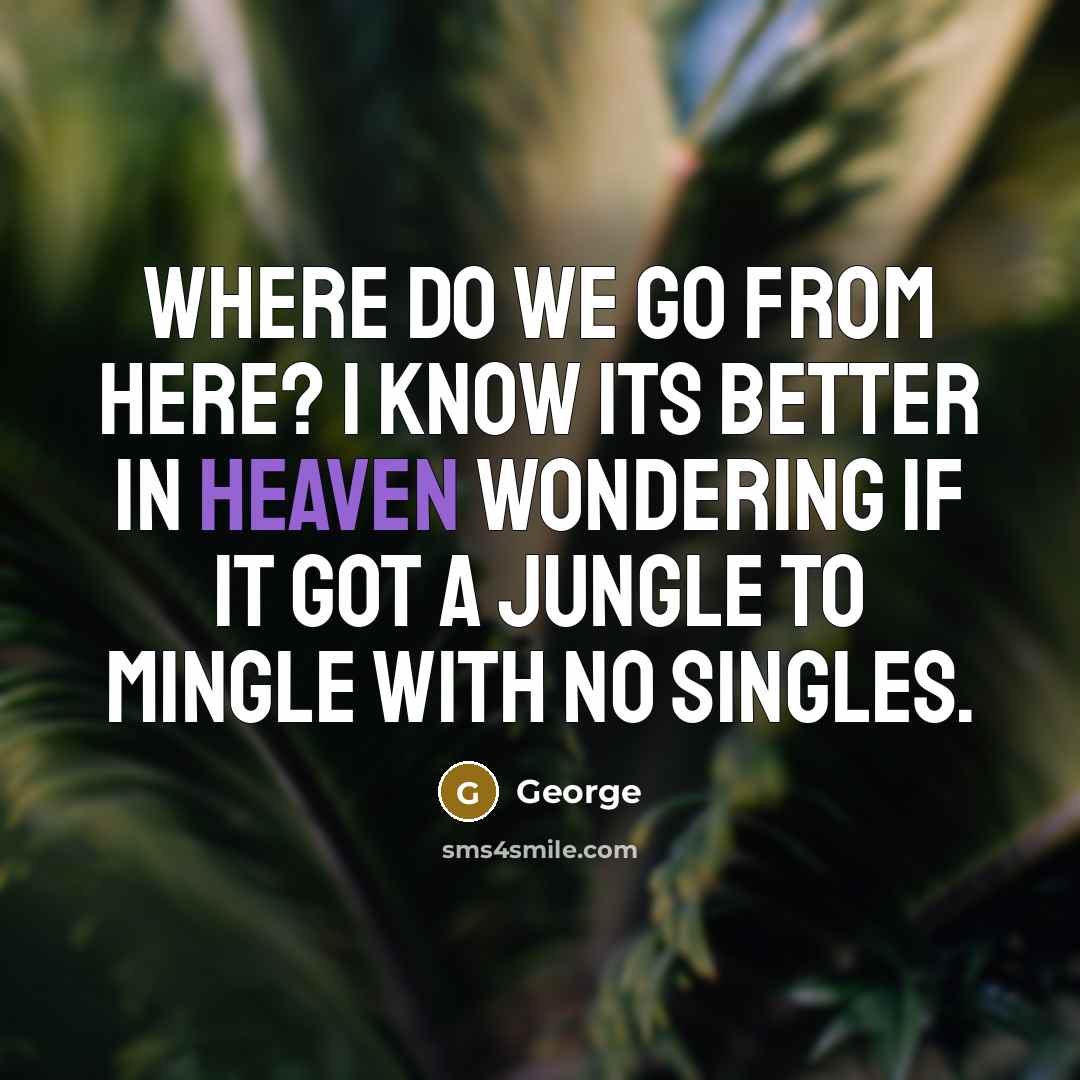 “Where do we go from here? I know its better…” quote by George