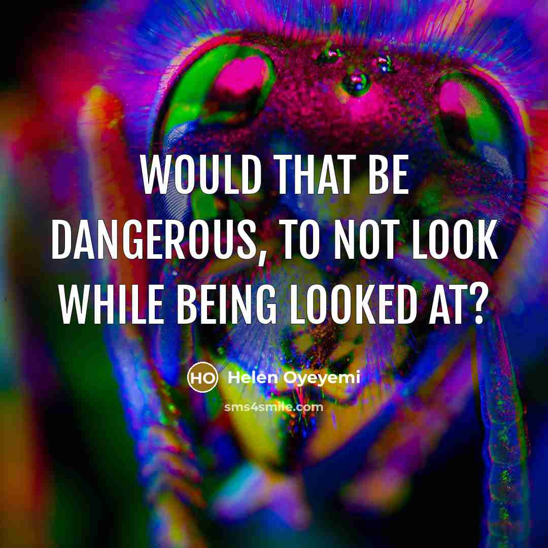 “Would that be dangerous, to not look while being looked…” quote by Helen Oyeyemi