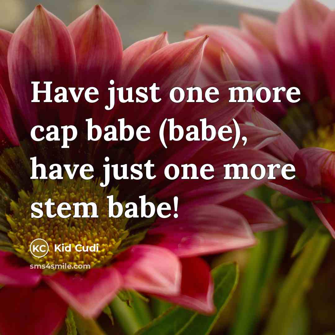 “Have just one more cap babe (babe), have just one…” quote by Kid Cudi