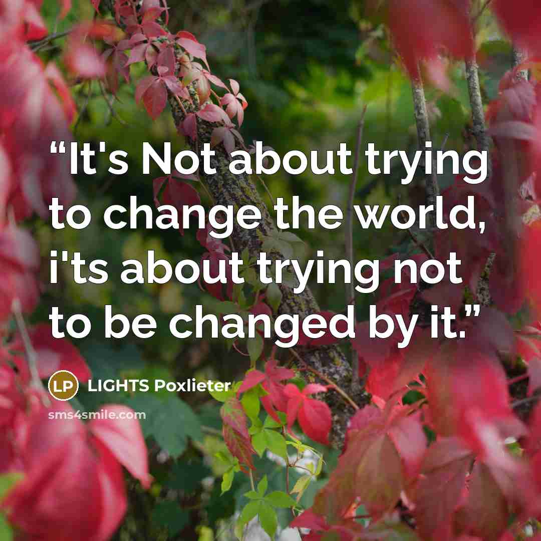 “It's Not about trying to change the world, i'ts about trying not to be changed by it.” quote by LIGHTS Poxlieter