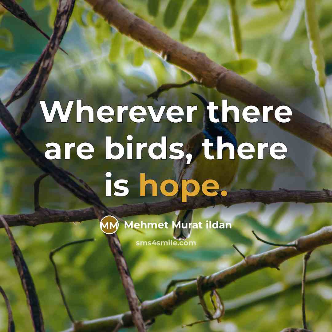 “Wherever there are birds, there is hope.…” quote by Mehmet Murat Ildan
