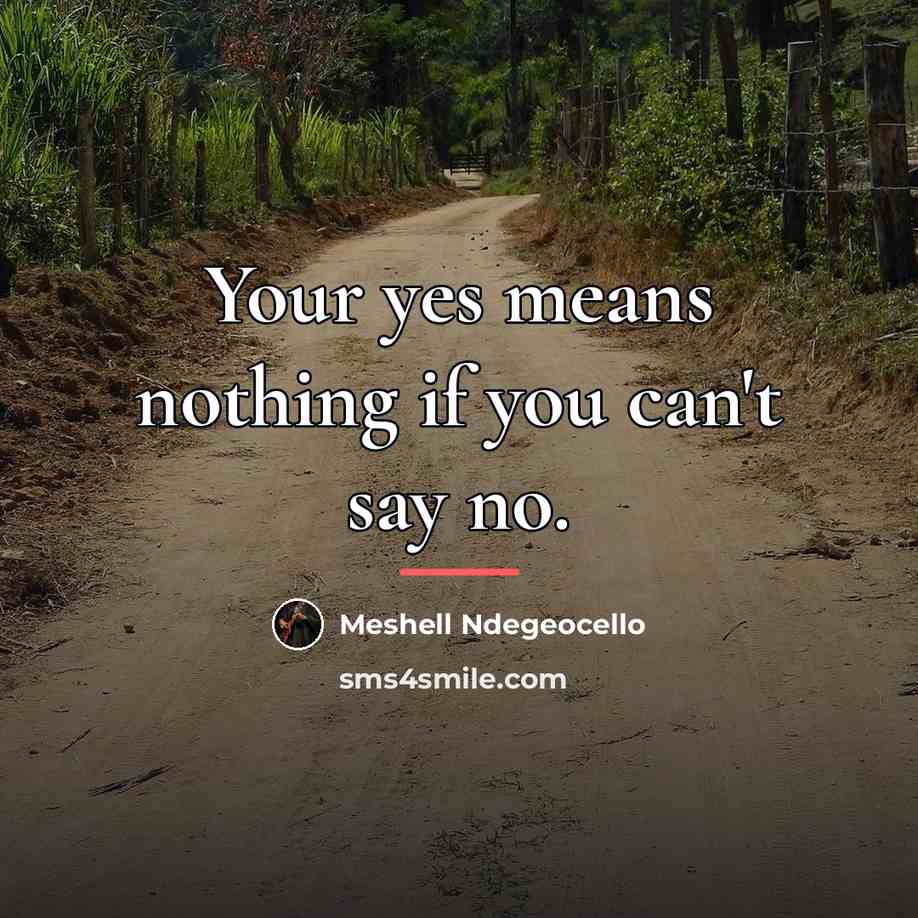 “Your yes means nothing if you can't say no.…” quote by Meshell Ndegeocello