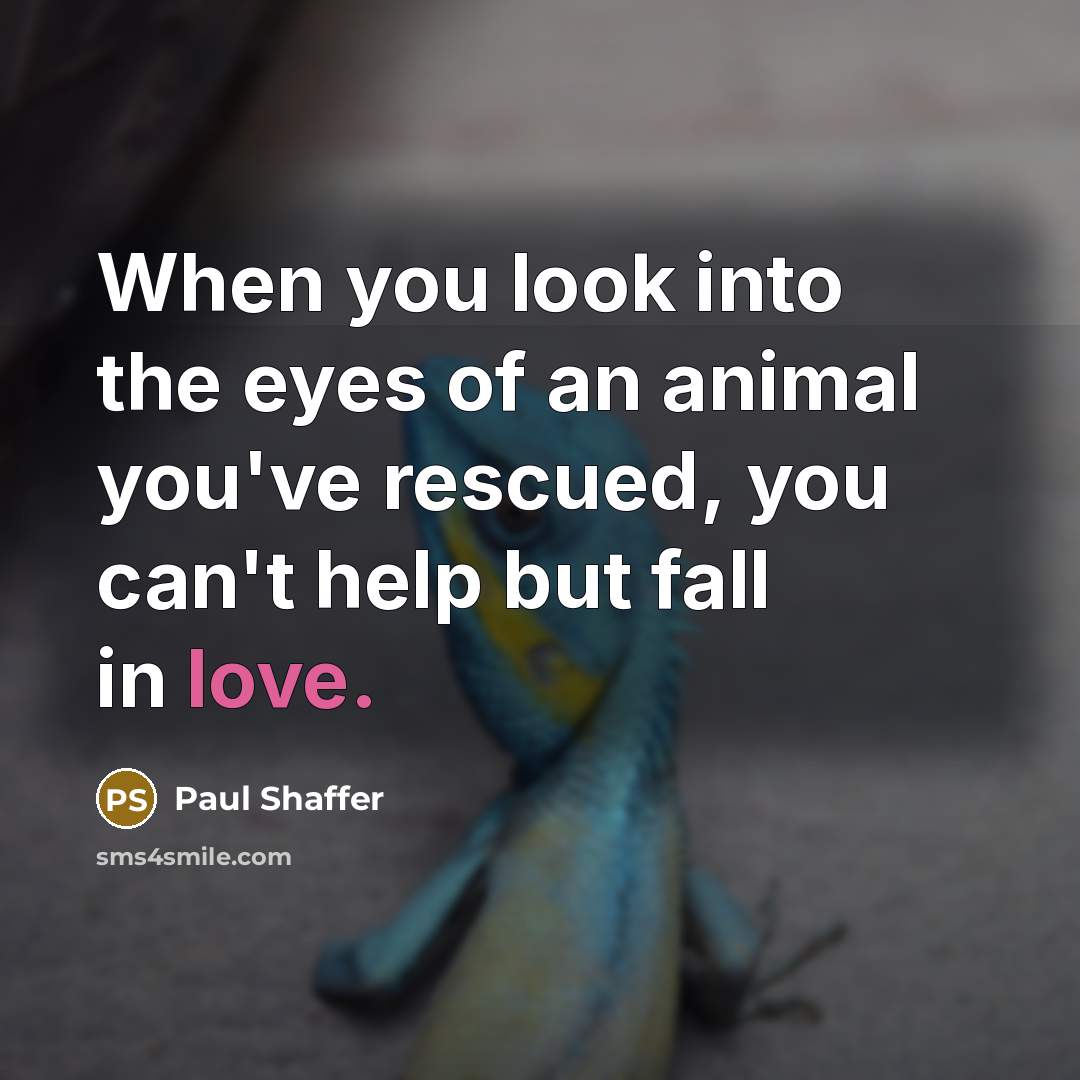 “When you look into the eyes of an animal you've…” quote by Paul Shaffer