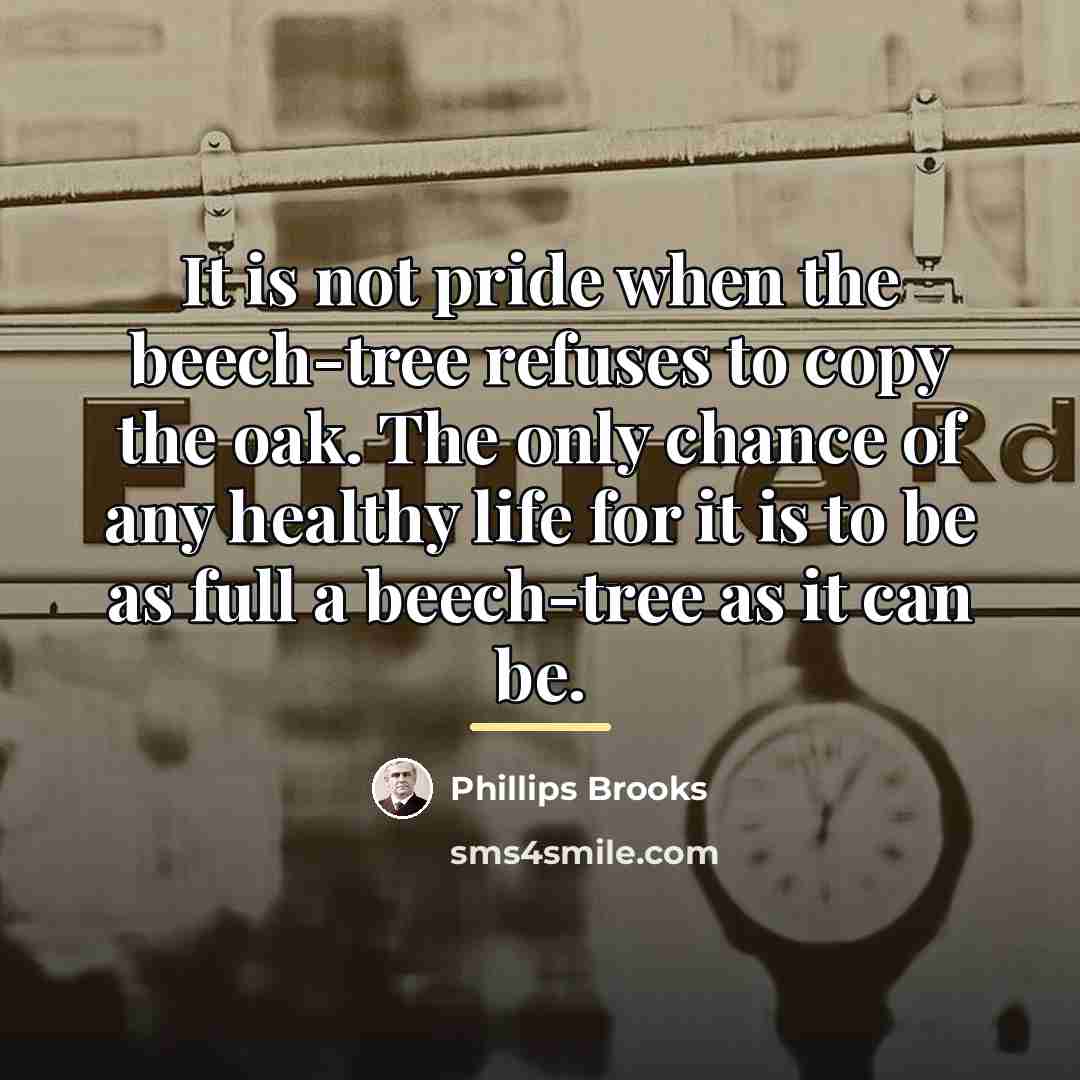 “It is not pride when the beech-tree refuses to copy…” quote by Phillips Brooks