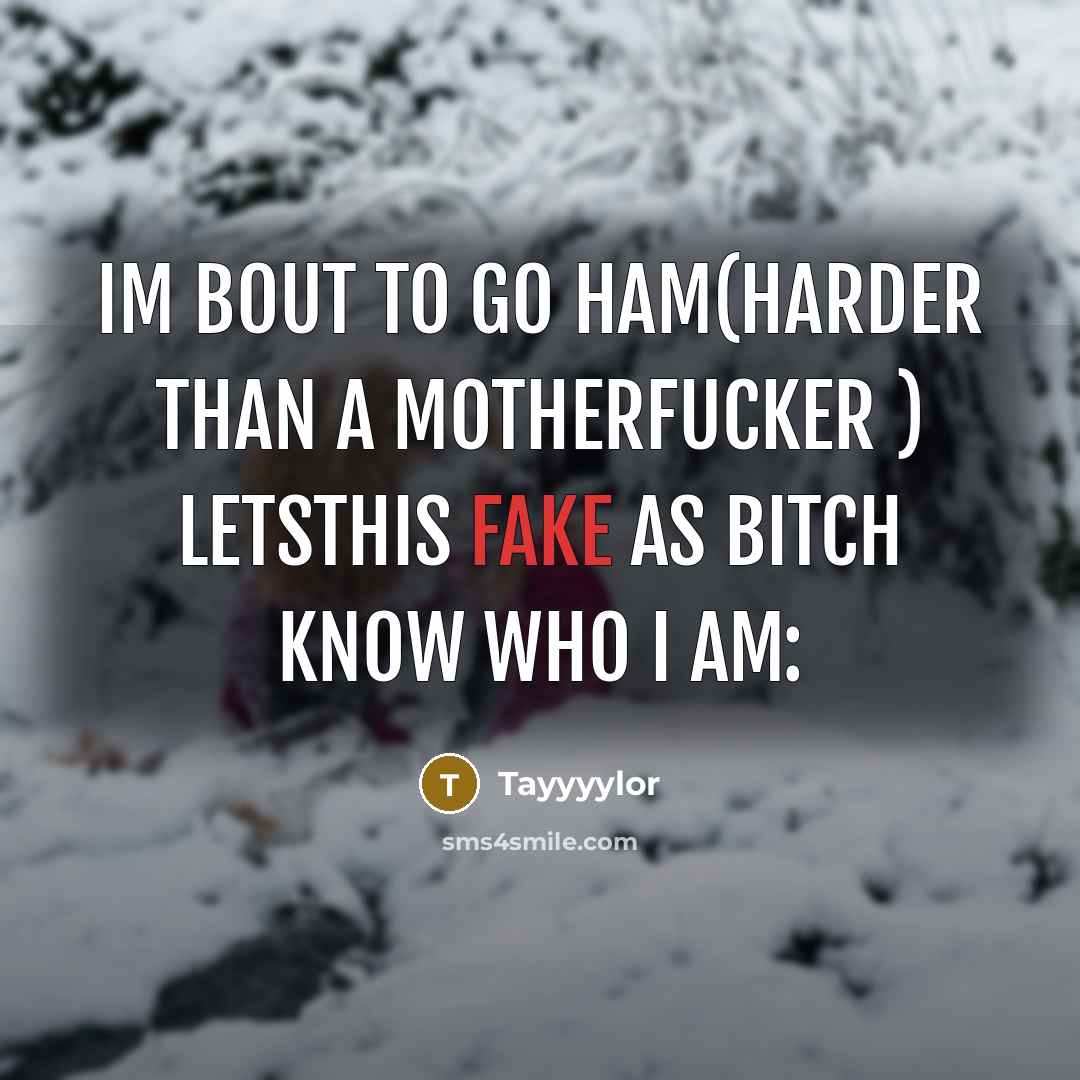 “Im bout to go ham(harder than a motherfucker ) letsthis fake as bitch know who I am:” quote by Tayyyylor