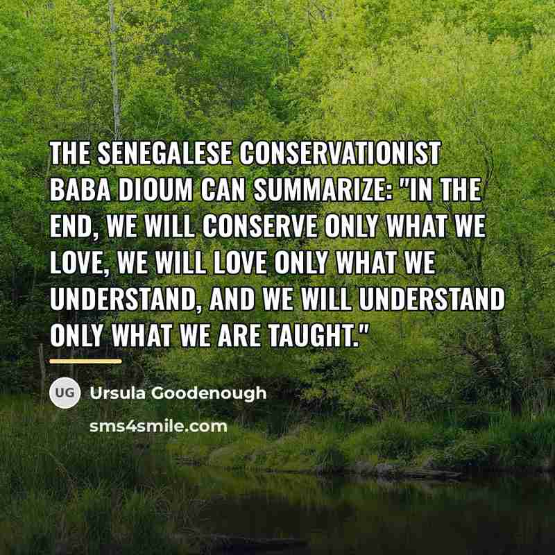 “The Senegalese conservationist Baba Dioum can summarize: "In the end,…” quote by Ursula Goodenough