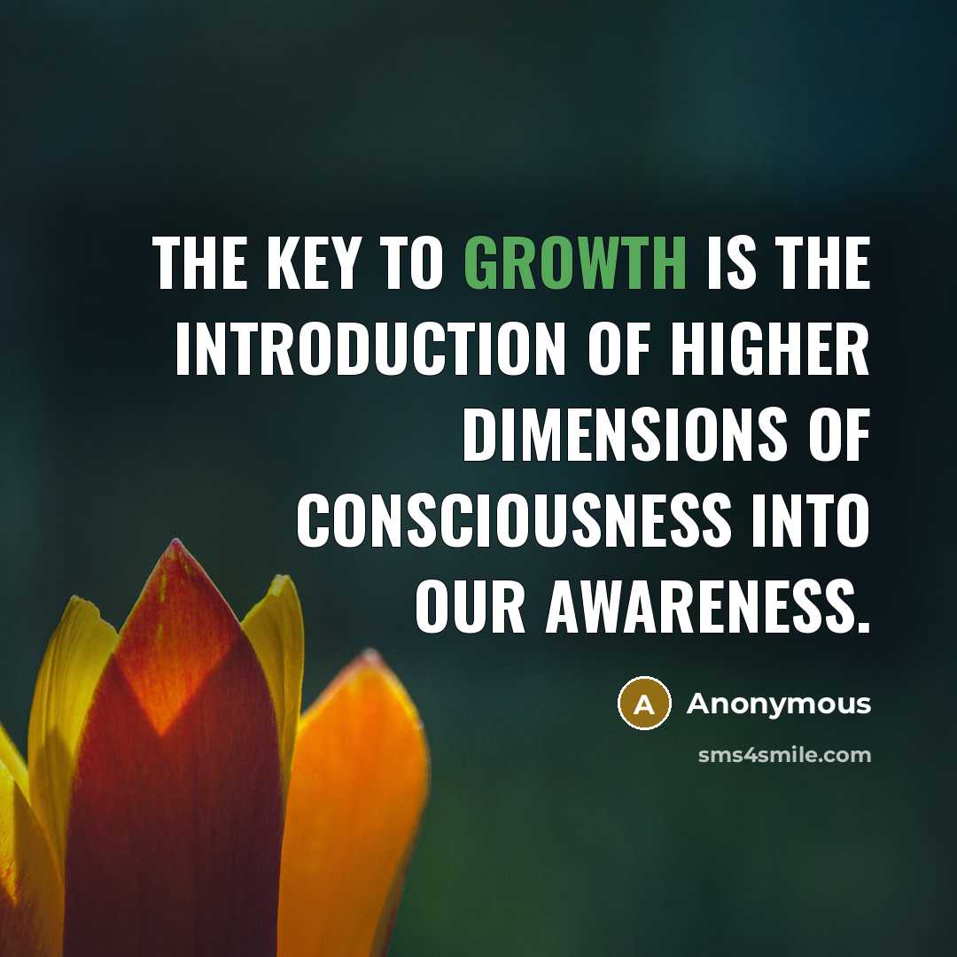 “The key to growth is the introduction of higher dimensions…” quote by Anonymous