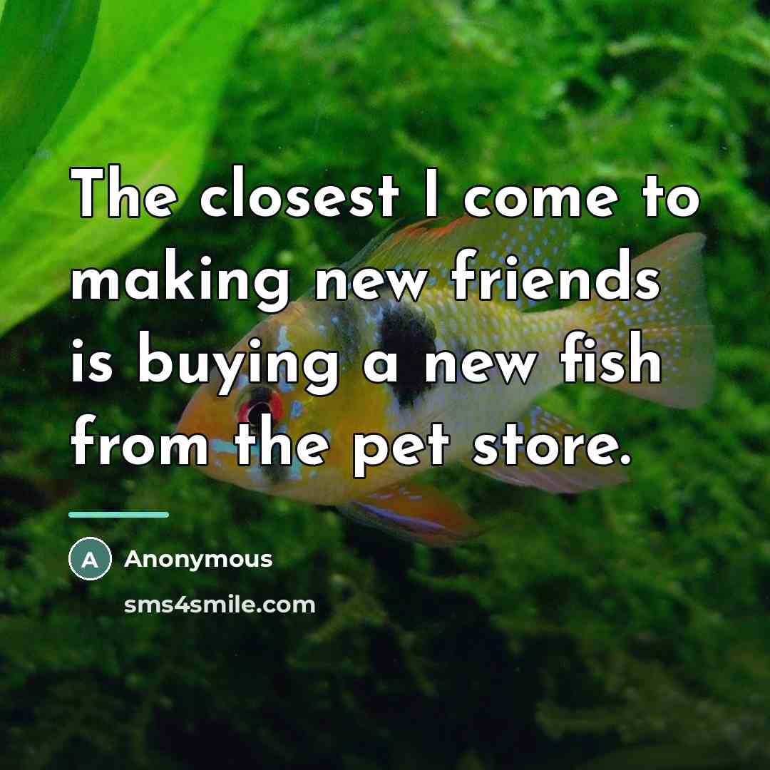 “The closest I come to making new friends is buying…” quote by Anonymous