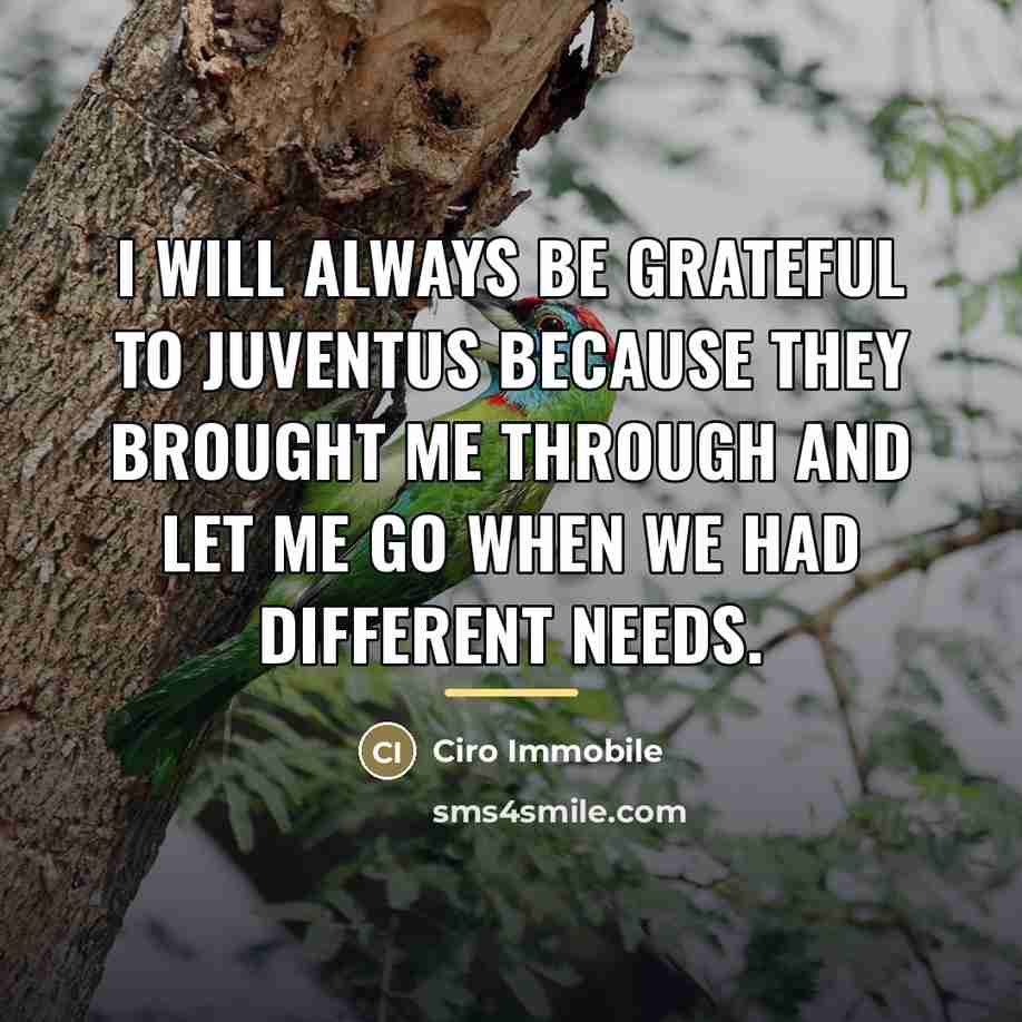 “I will always be grateful to Juventus because they brought…” quote by Ciro Immobile