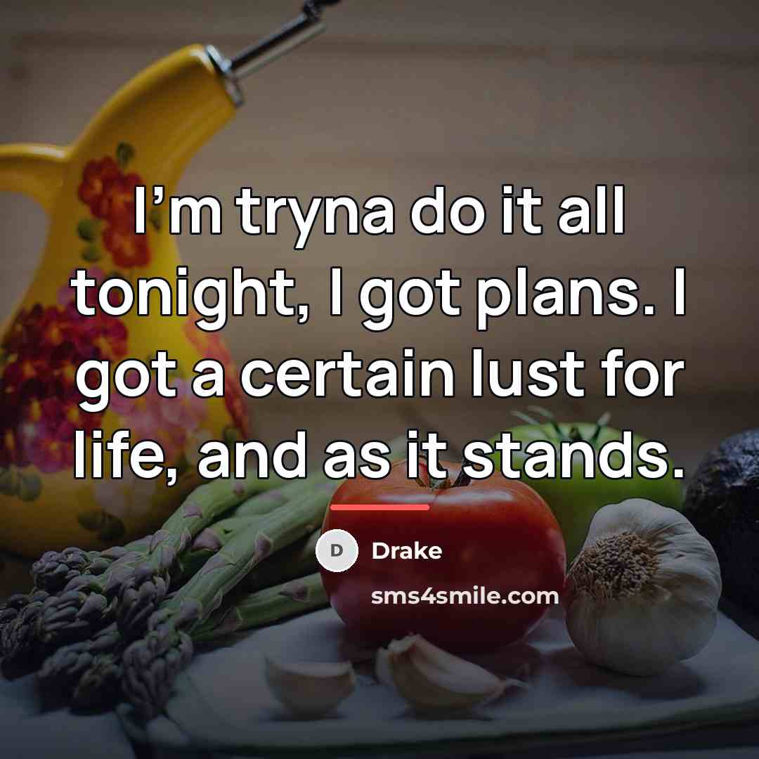 “I'm tryna do it all tonight, I got plans. I…” quote by Drake