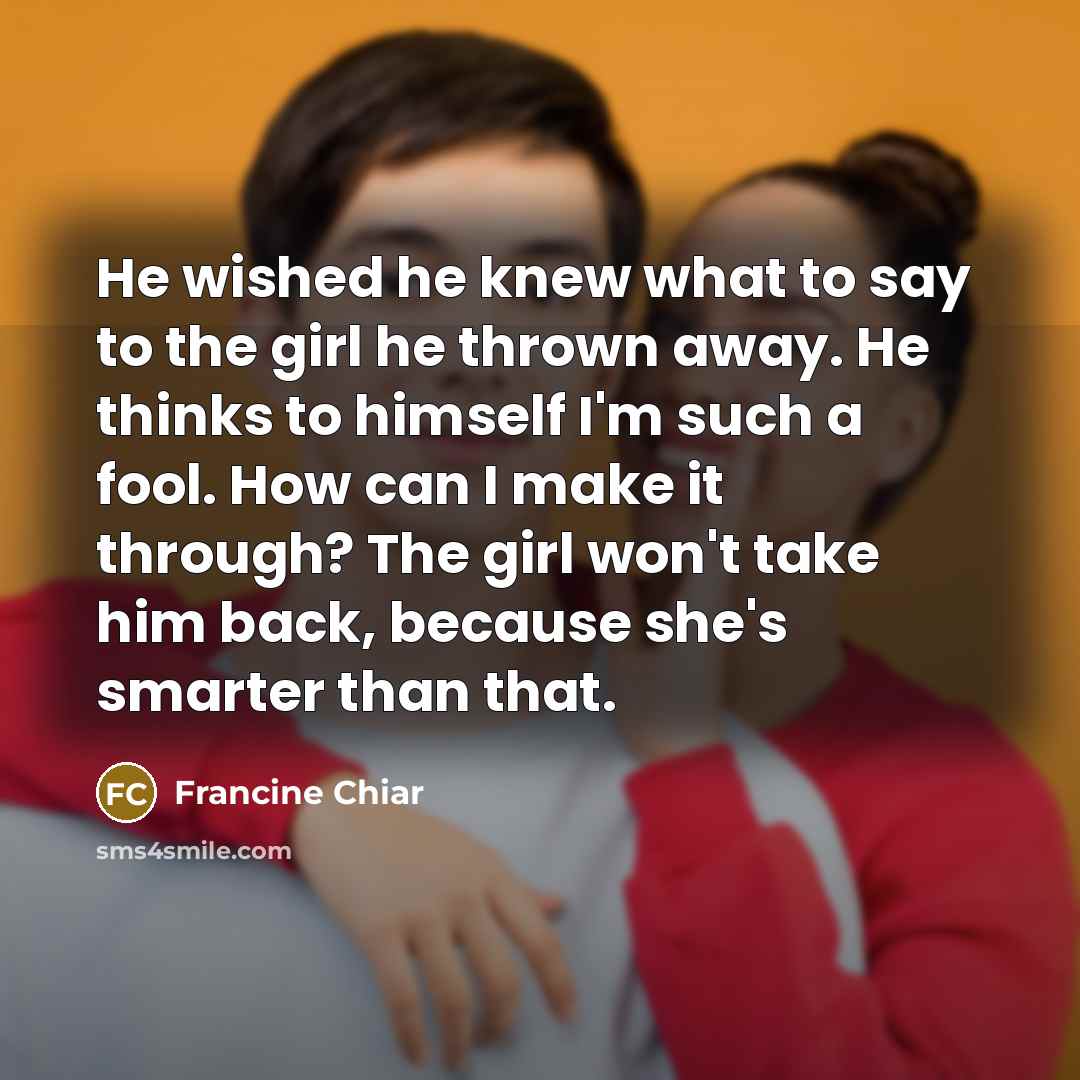 “He wished he knew what to say to the girl…” quote by Francine Chiar