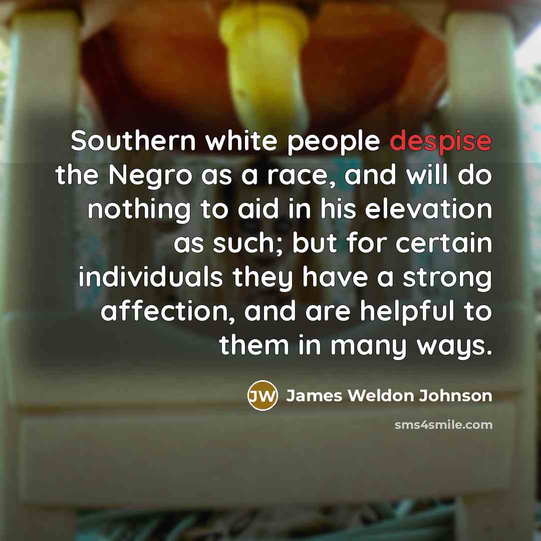 “Southern white people despise the Negro as a race, and…” quote by James Weldon Johnson