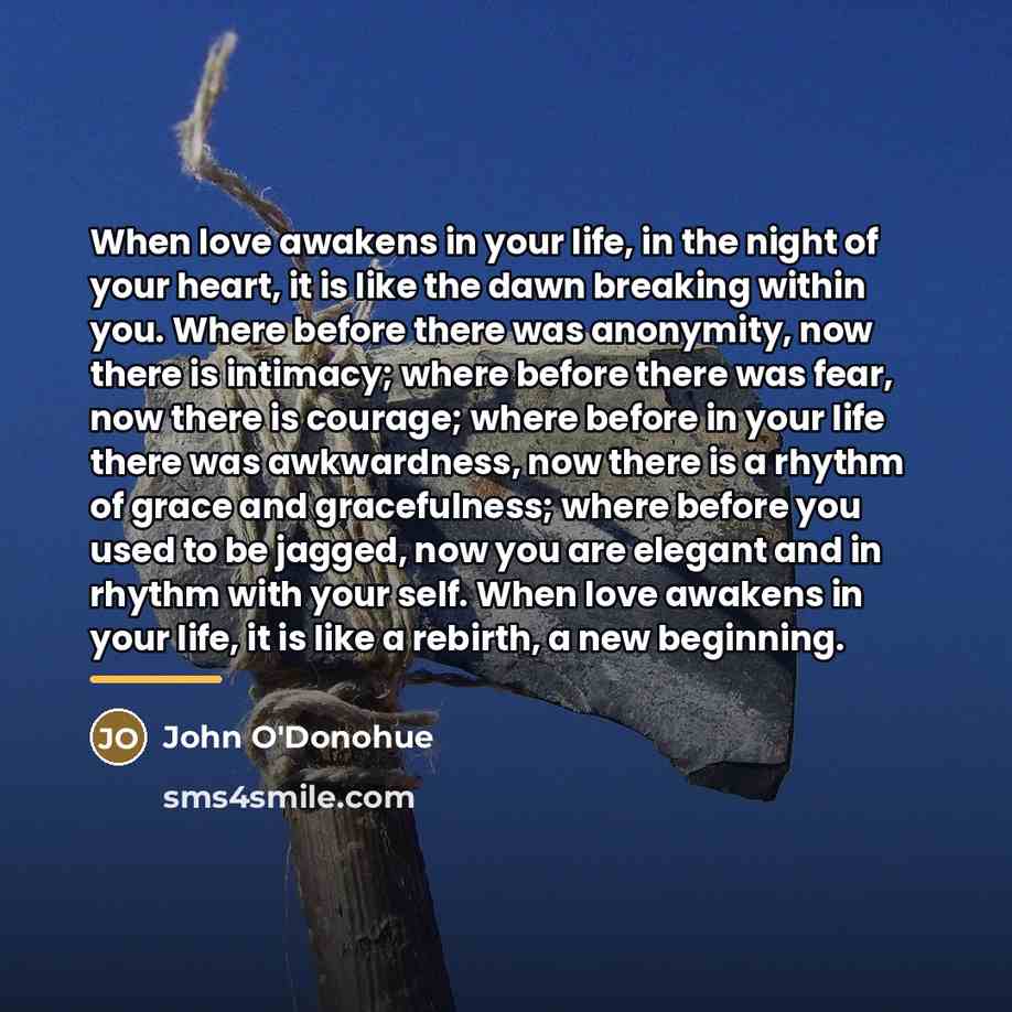“When love awakens in your life, in the night of…” quote by John O'Donohue