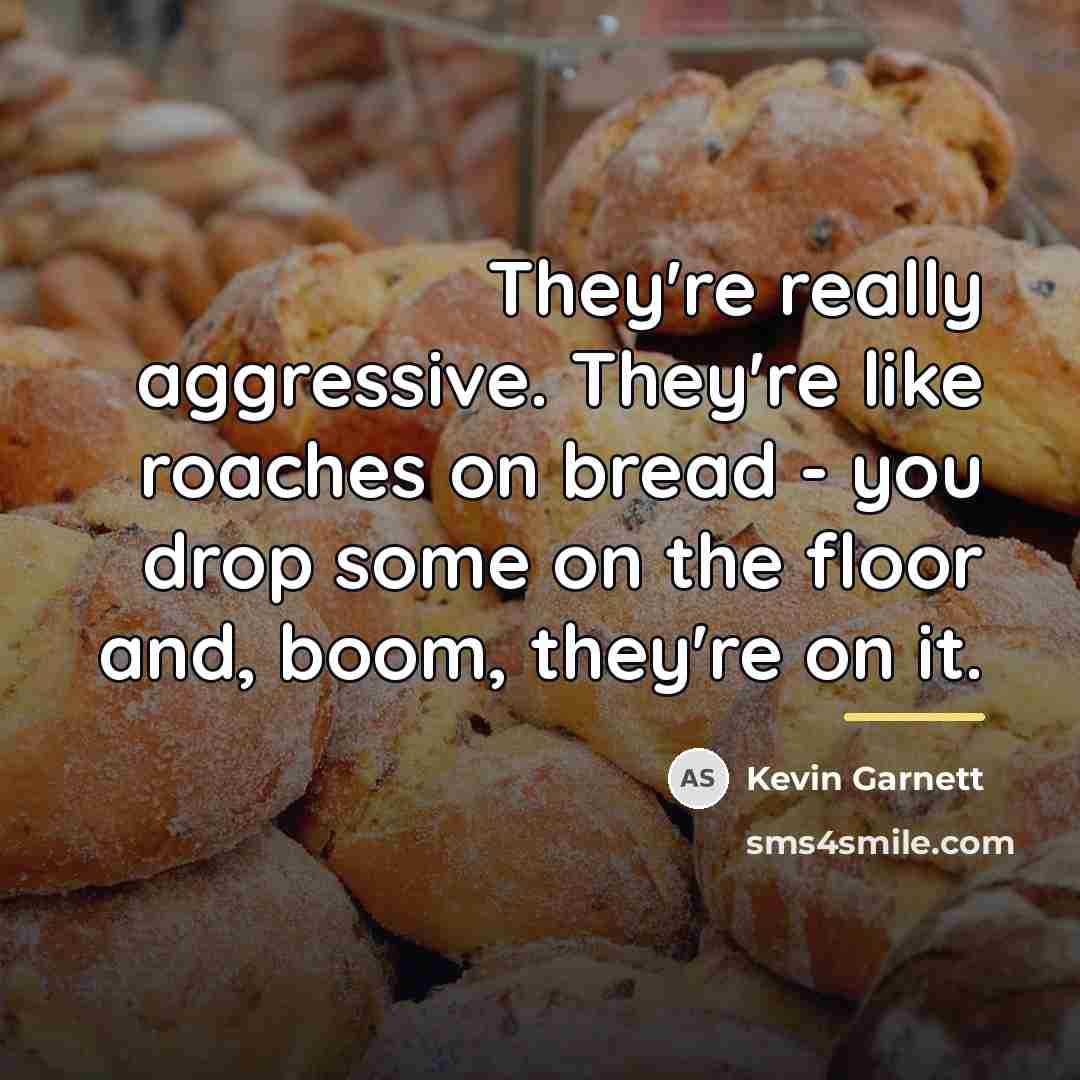 “They're really aggressive. They're like roaches on bread - you…” quote by Kevin Garnett