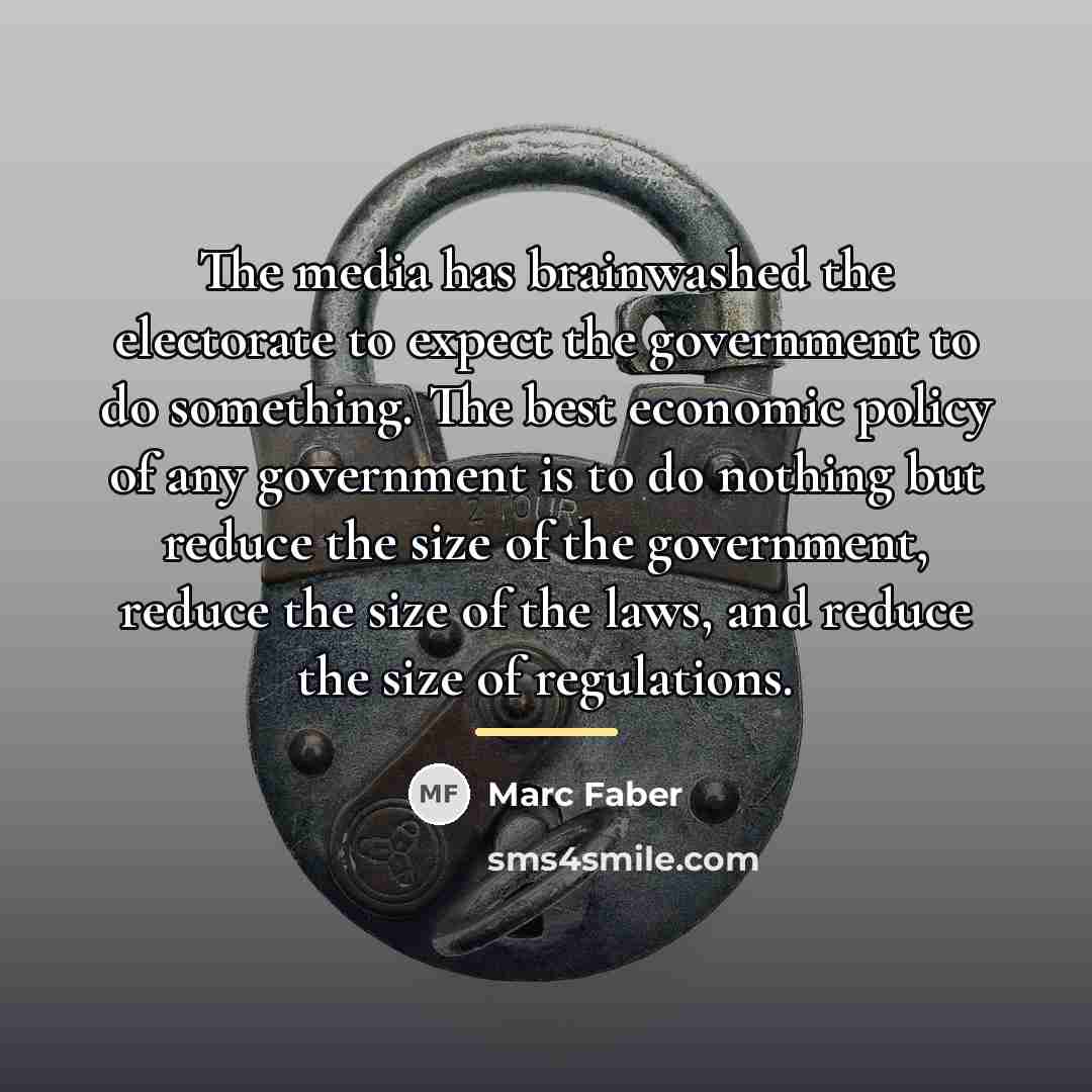 “The media has brainwashed the electorate to expect the government…” quote by Marc Faber