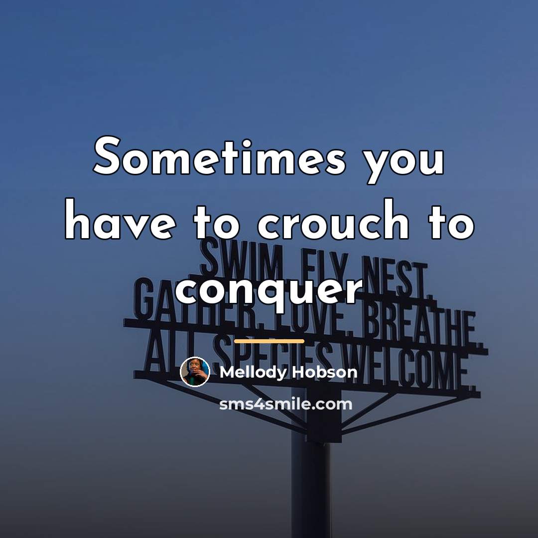 “Sometimes you have to crouch to conquer…” quote by Mellody Hobson