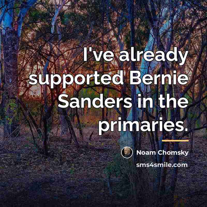 “I've already supported Bernie Sanders in the primaries.…” quote by Noam Chomsky