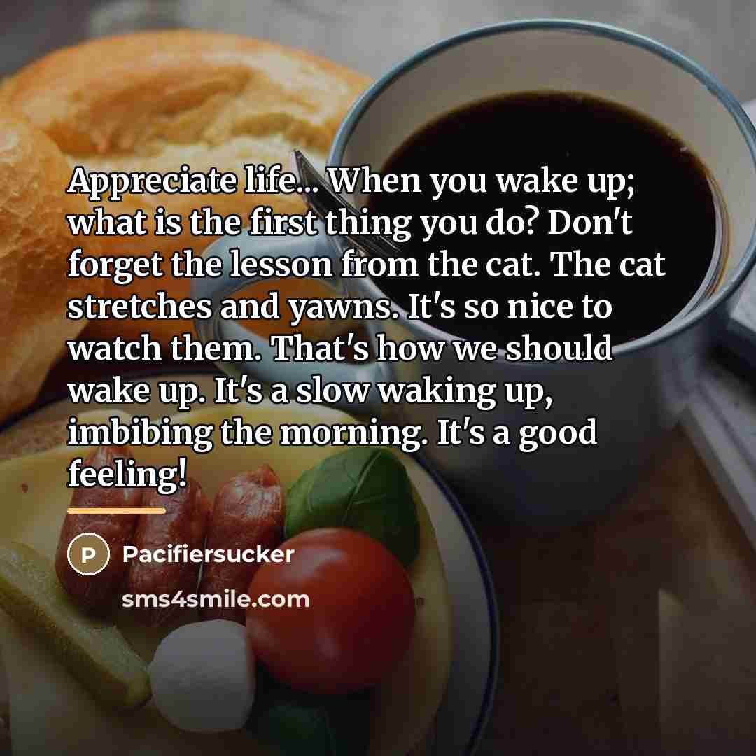 “Appreciate life... When you wake up; what is the first…” quote by Pacifiersucker