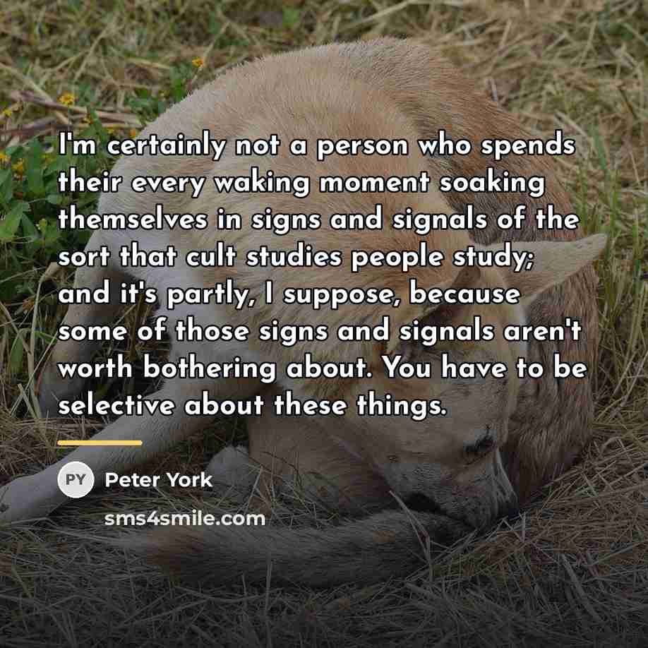 “I'm certainly not a person who spends their every waking…” quote by Peter York