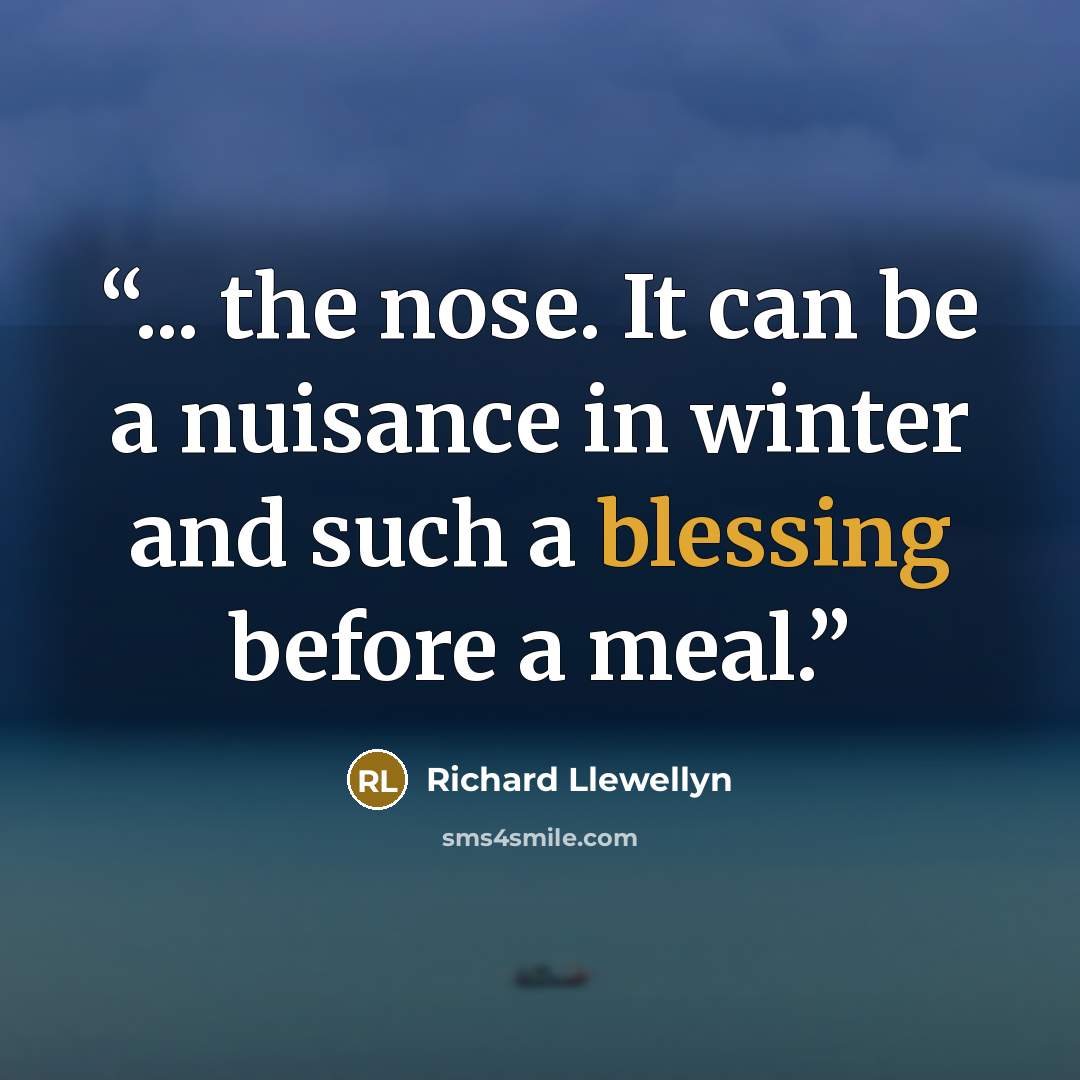 “... the nose. It can be a nuisance in winter and such a blessing before a meal.” quote by Richard Llewellyn